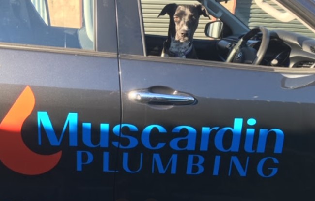 Muscardin Plumbing